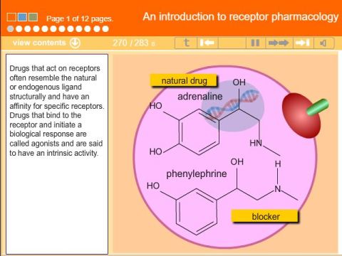 An Introduction to Receptor Pharmacology